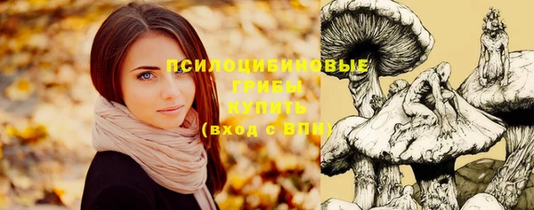 мяу мяу мука Осташков