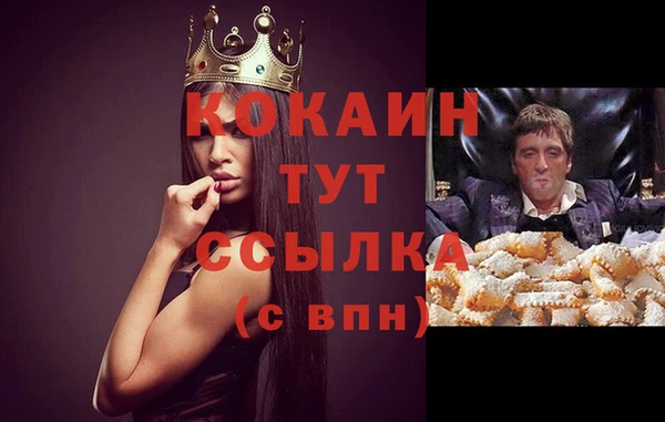 мяу мяу мука Осташков