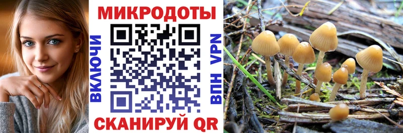 где найти   Козловка  Галлюциногенные грибы ЛСД 